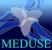 logo_meduse